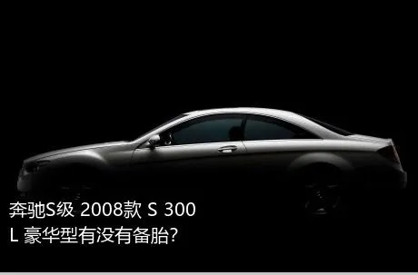 奔驰S级 2008款 S 300 L 豪华型有没有备胎？