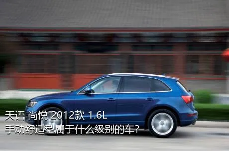 天语 尚悦 2012款 1.6L 手动舒适型属于什么级别的车？