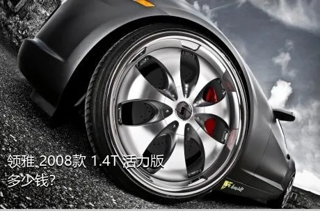 领雅 2008款 1.4T 活力版多少钱？