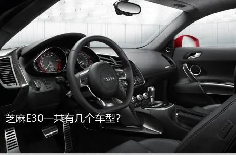 芝麻E30一共有几个车型？