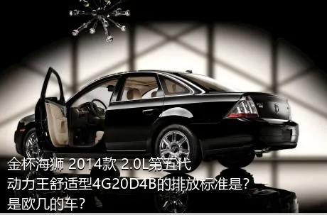 金杯海狮 2014款 2.0L第五代动力王舒适型4G20D4B的排放标准是？是欧几的车？