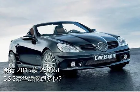 朗行 2015款 230TSI DSG豪华版能跑多快？