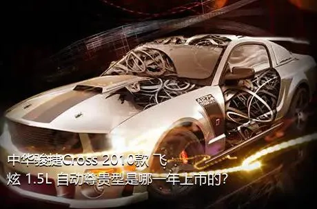 中华骏捷Cross 2010款 飞炫 1.5L 自动尊贵型是哪一年上市的？