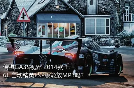 传祺GA3S视界 2014款 1.6L 自动精英ESP版能放MP3吗？