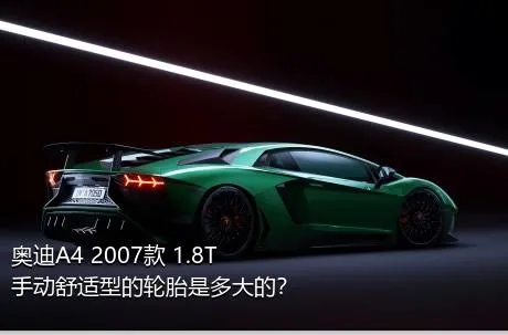 奥迪A4 2007款 1.8T 手动舒适型的轮胎是多大的？