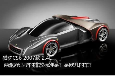 猎豹CS6 2007款 2.4L 两驱舒适型的排放标准是？是欧几的车？