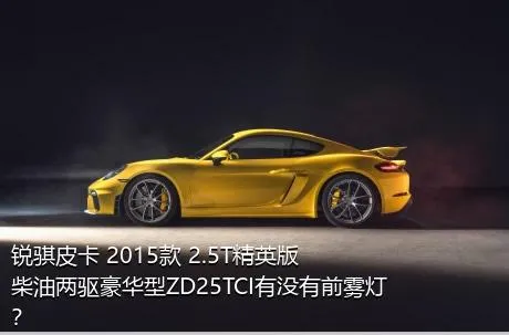 锐骐皮卡 2015款 2.5T精英版柴油两驱豪华型ZD25TCI有没有前雾灯？