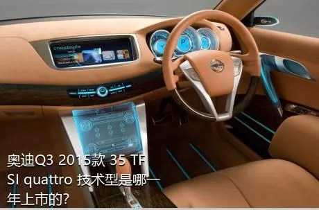 奥迪Q3 2015款 35 TFSI quattro 技术型是哪一年上市的？