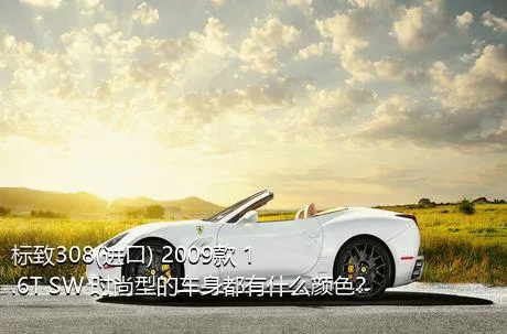 标致308(进口) 2009款 1.6T SW 时尚型的车身都有什么颜色？