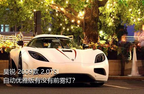 昊锐 2009款 2.0TSI 自动优雅版有没有前雾灯？