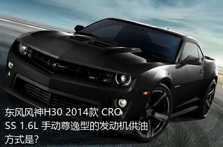 东风风神H30 2014款 CROSS 1.6L 手动尊逸型的发动机供油方式是？