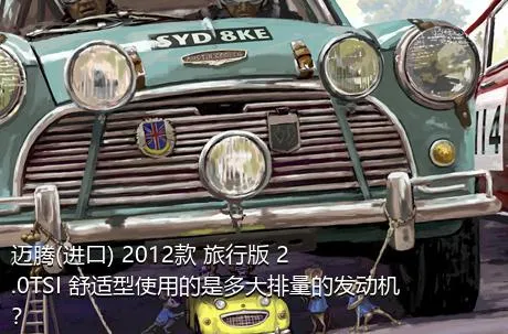 迈腾(进口) 2012款 旅行版 2.0TSI 舒适型使用的是多大排量的发动机？