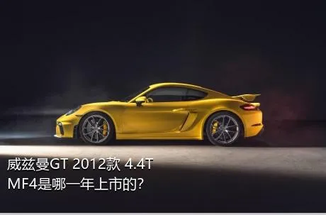 威兹曼GT 2012款 4.4T MF4是哪一年上市的？