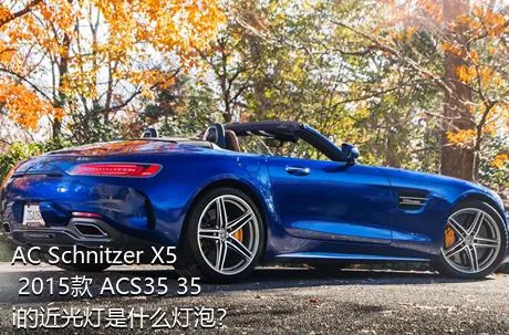 AC Schnitzer X5 2015款 ACS35 35i的近光灯是什么灯泡？