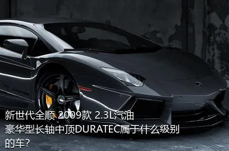 新世代全顺 2009款 2.3L汽油豪华型长轴中顶DURATEC属于什么级别的车？