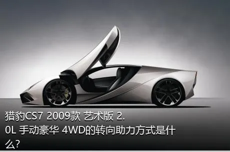 猎豹CS7 2009款 艺术版 2.0L 手动豪华 4WD的转向助力方式是什么？