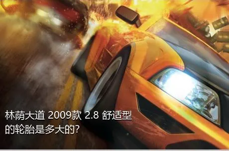 林荫大道 2009款 2.8 舒适型的轮胎是多大的？