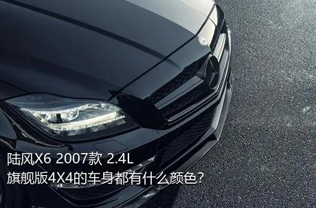 陆风X6 2007款 2.4L 旗舰版4X4的车身都有什么颜色？