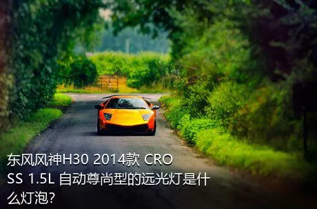 东风风神H30 2014款 CROSS 1.5L 自动尊尚型的远光灯是什么灯泡？