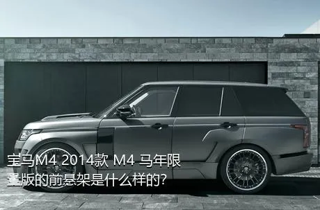 宝马M4 2014款 M4 马年限量版的前悬架是什么样的？