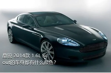 晶锐 2014款 1.6L Scout的车身都有什么颜色？