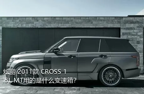 炫丽 2011款 CROSS 1.5L MT用的是什么变速箱？