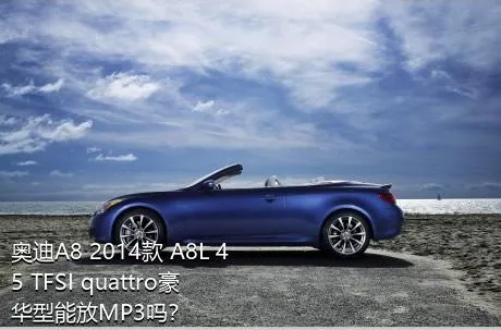 奥迪A8 2014款 A8L 45 TFSI quattro豪华型能放MP3吗？