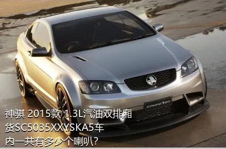 神骐 2015款 1.3L汽油双排厢货SC5035XXYSKA5车内一共有多少个喇叭？