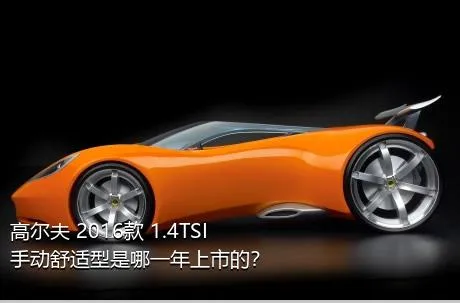 高尔夫 2016款 1.4TSI 手动舒适型是哪一年上市的？