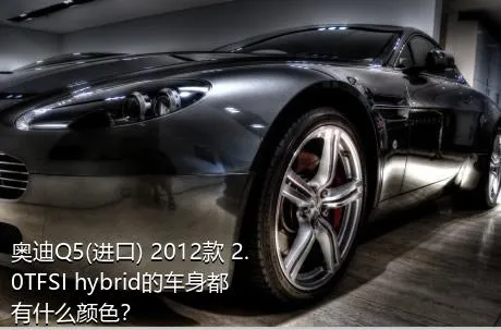 奥迪Q5(进口) 2012款 2.0TFSI hybrid的车身都有什么颜色？