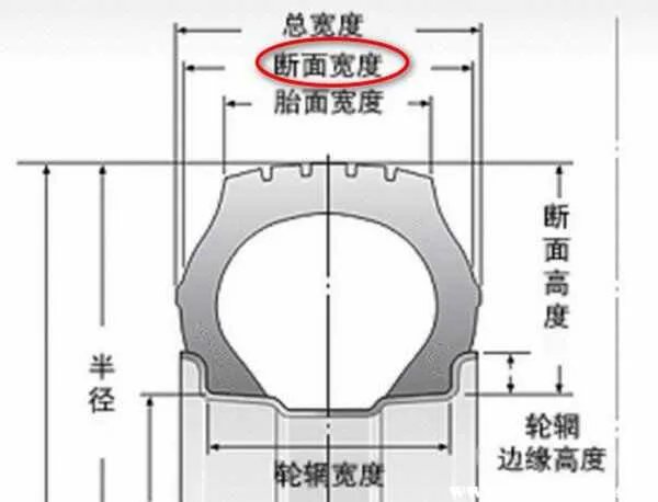 轮胎断面宽度什么意思？轮胎断面宽度示意图