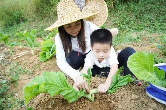 注入源头活水，共享生态之美 广汽本田陪伴流溪河的喜悦时光