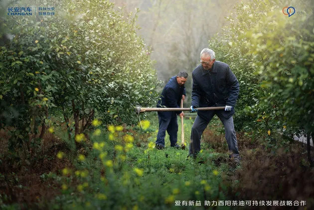 乡村振兴新样本 长安汽车帮扶酉阳跨界新公益