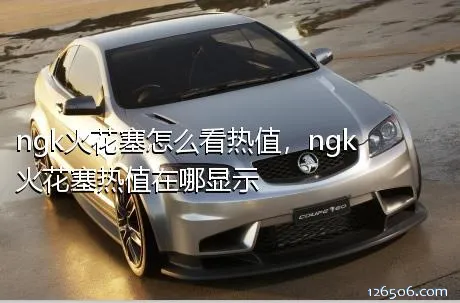 ngk火花塞怎么看热值，ngk火花塞热值在哪显示