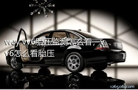 wey vv6胎压监测怎么看，vv6怎么看胎压