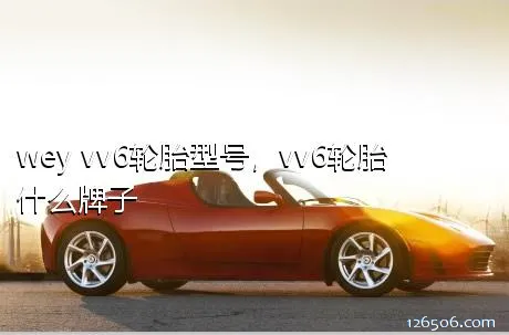 wey vv6轮胎型号，vv6轮胎什么牌子