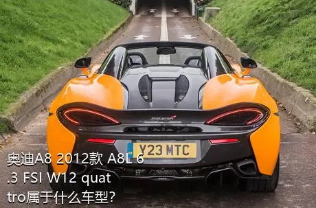 奥迪A8 2012款 A8L 6.3 FSI W12 quattro属于什么车型？