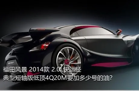 福田风景 2014款 2.0L快运经典型短轴版低顶4Q20M要加多少号的油？