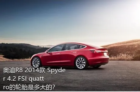 奥迪R8 2014款 Spyder 4.2 FSI quattro的轮胎是多大的？