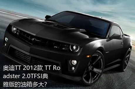 奥迪TT 2012款 TT Roadster 2.0TFSI典雅版的油箱多大？