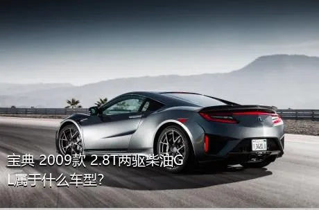 宝典 2009款 2.8T两驱柴油GL属于什么车型？