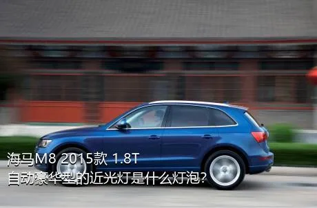 海马M8 2015款 1.8T 自动豪华型的近光灯是什么灯泡？