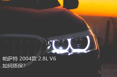 帕萨特 2004款 2.8L V6如何质保？