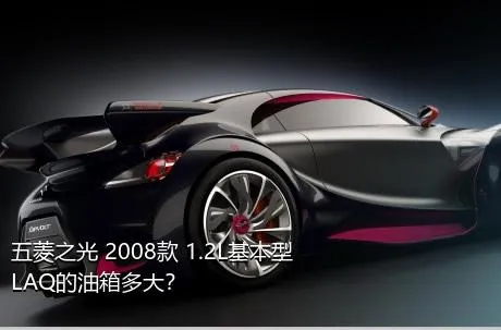 五菱之光 2008款 1.2L基本型LAQ的油箱多大？