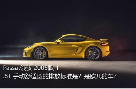 Passat领驭 2005款 1.8T 手动舒适型的排放标准是？是欧几的车？