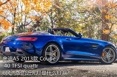 奥迪A5 2013款 Coupe 40 TFSI quattro风尚版的近光灯是什么灯泡？