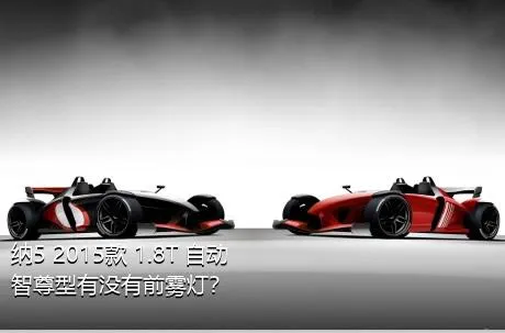 纳5 2015款 1.8T 自动智尊型有没有前雾灯？