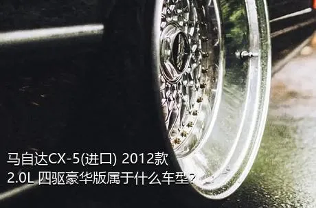 马自达CX-5(进口) 2012款 2.0L 四驱豪华版属于什么车型？