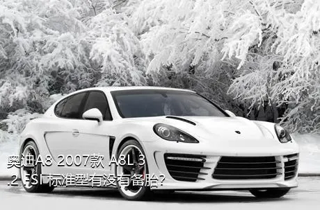 奥迪A8 2007款 A8L 3.2 FSI 标准型有没有备胎？