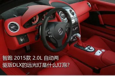 智跑 2015款 2.0L 自动两驱版DLX的远光灯是什么灯泡？